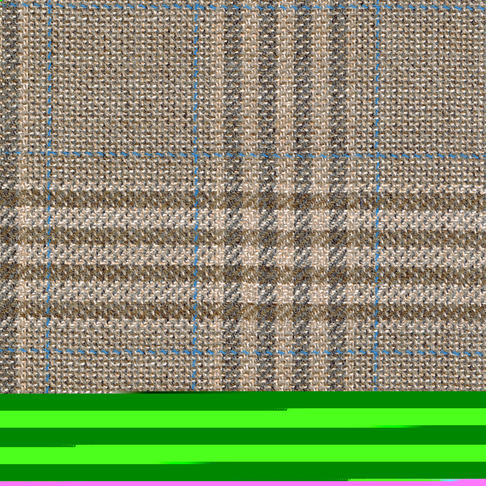DAY8231